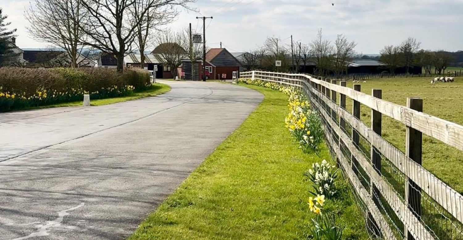 Home of Beau products who make artisan baking products such as flavourings