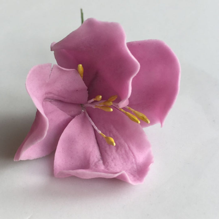 Sugarepaste in Lilac Colour by Beau products