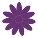 african violet flowerpaste