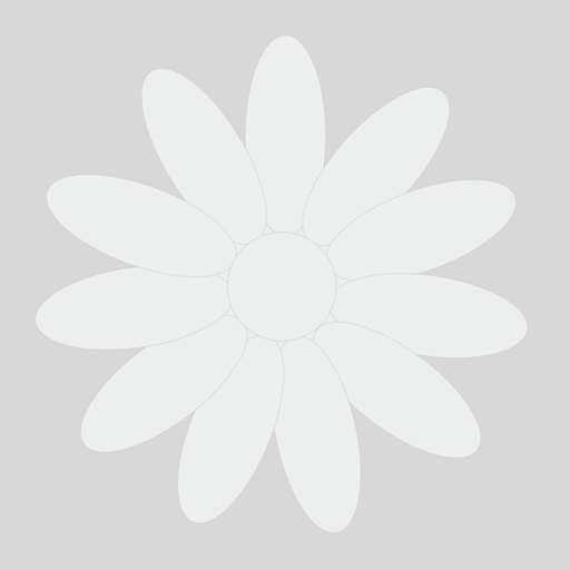 Unleash your inner artist and transform your cake designs with our Antique White Flowerpaste