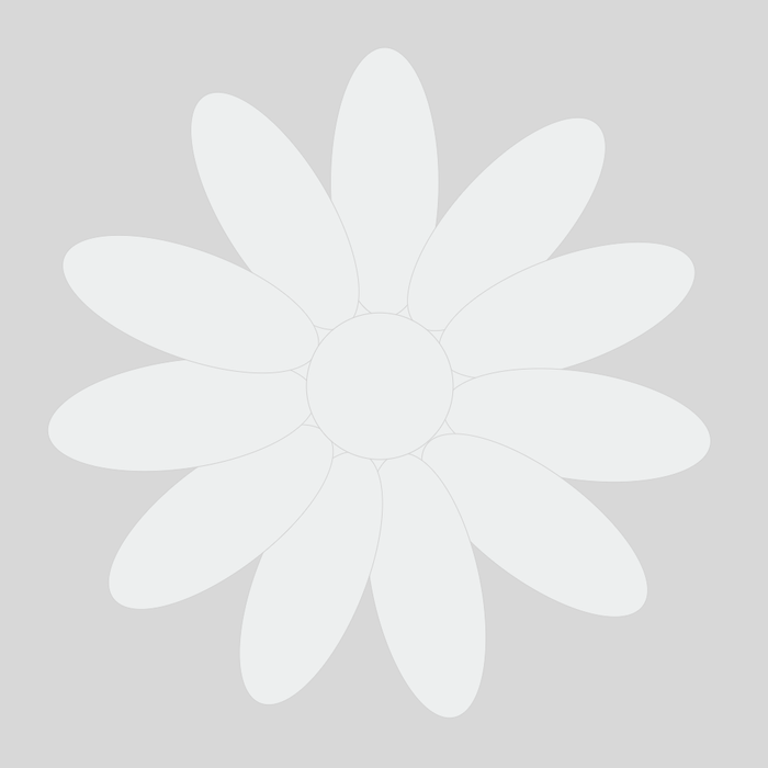 Unleash your inner artist and transform your cake designs with our Antique White Flowerpaste