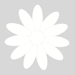 Unleash your inner artist and transform your cake designs with our Brilliant White Flowerpaste