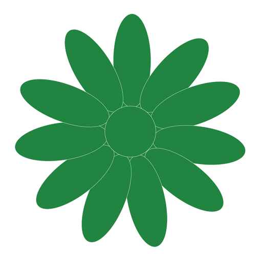 Unleash your inner artist and transform your cake designs with our Emerald Green Flowerpaste