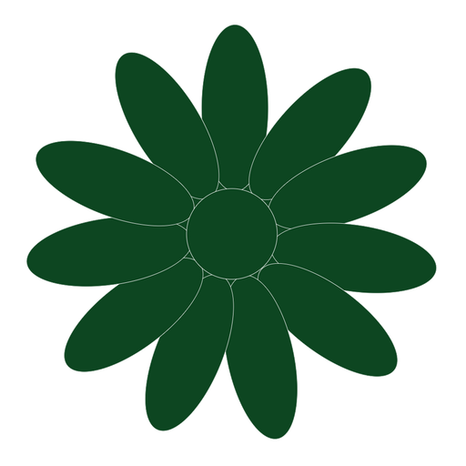 Unleash your inner artist and transform your cake designs with our Holly Green Flowerpaste