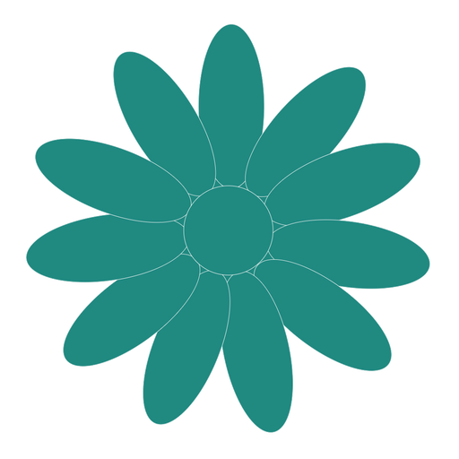 Unleash your inner artist and transform your cake designs with our Jade Flowerpaste